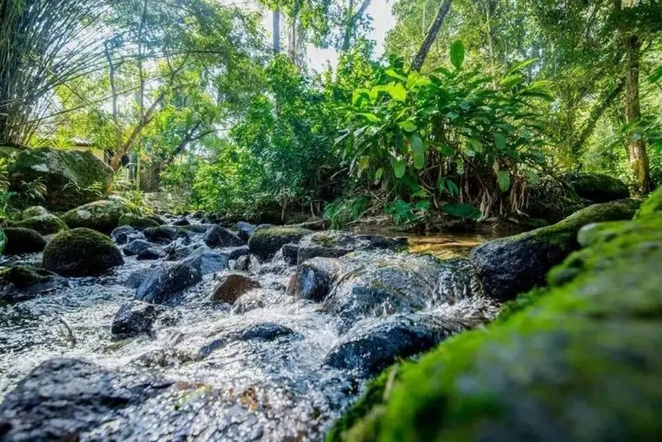 Casa com rio no quintal e renda de temporada na Cocaia, foto 2